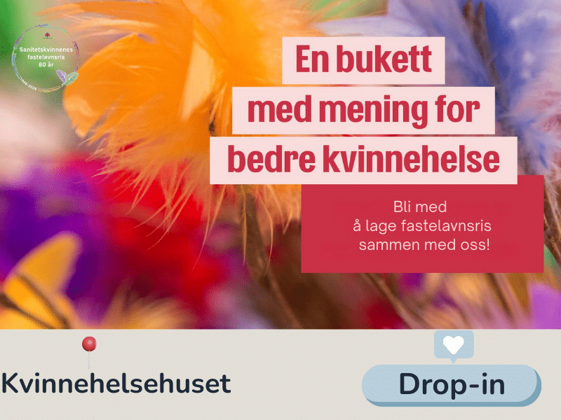 Fastelavnsris bilde er til aktiviteten lage fastelavnsris.