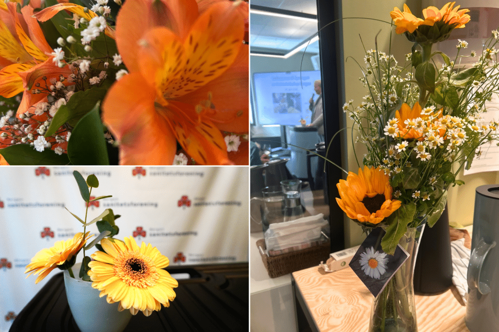 Bildet viser ulike blomster på Kvinnehelsehuset.